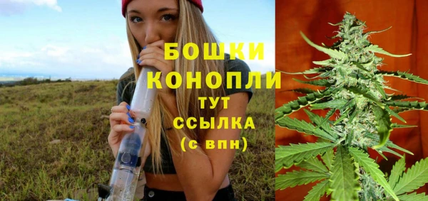прущие грибы Лагань