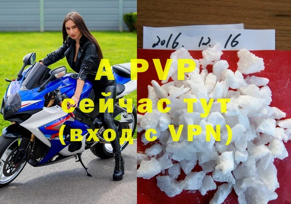 прущие грибы Лагань