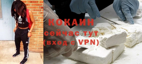 прущие грибы Лагань