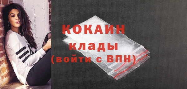 прущие грибы Лагань